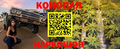 spice Ставрополь