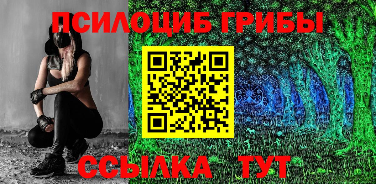 Галлюциногенные грибы прущие грибы Октябрьский