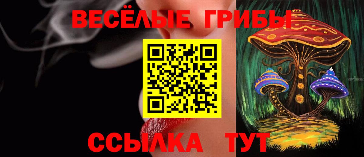 Галлюциногенные грибы Cubensis  Вход с VPN  Октябрьский 